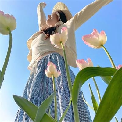 疯狂的旅行箱